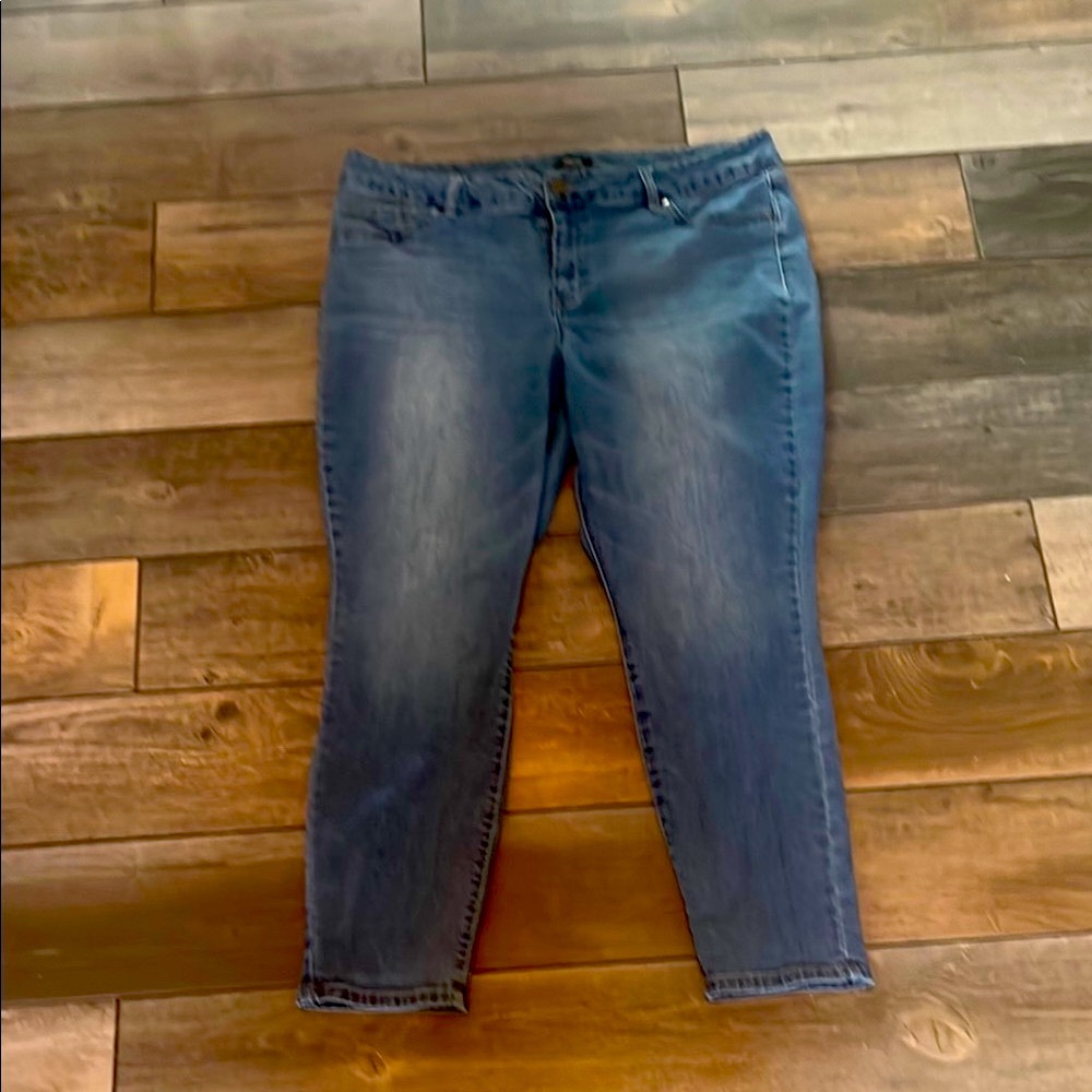 Jones & Co Women's Ankle Blue Jeans, sz 20W